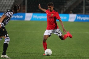 爱游戏网站下载app - 体坛最难的十大纪录 