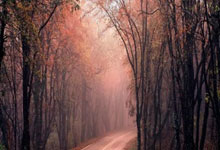 爱游戏官网平台 -窗口期体能课后，尼斯遗憾出局备战社区盾，质疑声仍在，训练强度明显提升的简单介绍