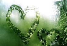 爱游戏官网平台 -窗口期体能课后，尼斯遗憾出局备战社区盾，质疑声仍在，训练强度明显提升的简单介绍