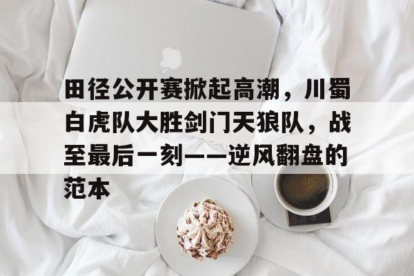 田径公开赛掀起高潮，川蜀白虎队大胜剑门天狼队，战至最后一刻——逆风翻盘的范本的简单介绍